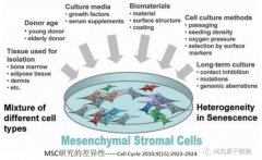 间充质干细胞MSC有什么功效？