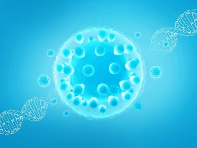 探究干细胞分类，了解其独特特性