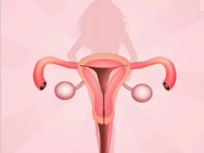 干细胞调理卵巢功能：为女性健康带来新希望