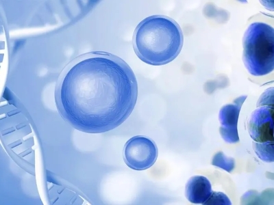 干细胞治疗重塑卵巢健康