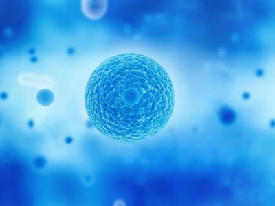 探讨干细胞在医学领域的应用前景