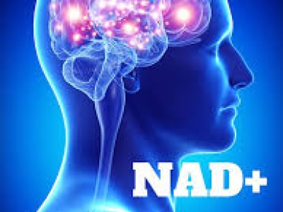 适量服用NAD+：为什么不应追求高剂量？