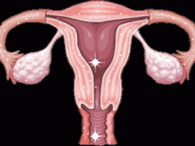 助力卵巢抗衰，间充质干细胞让女性魅力持续绽