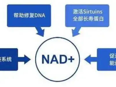 打完NAD+后，你的身体会发生什么变化？